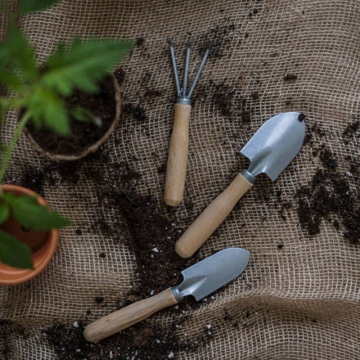 Gardening tools and techniques